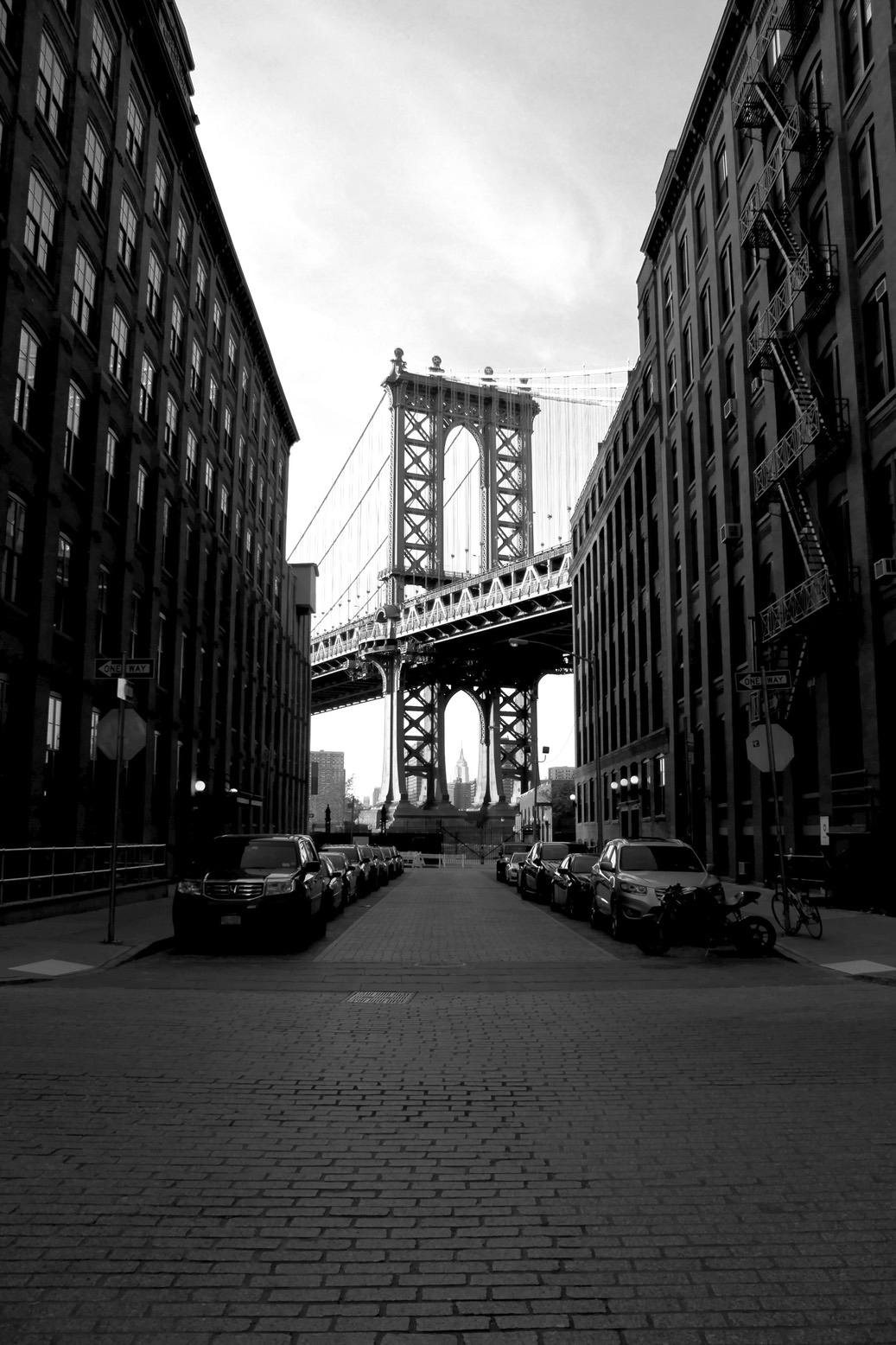 Black and white Dumbo photography