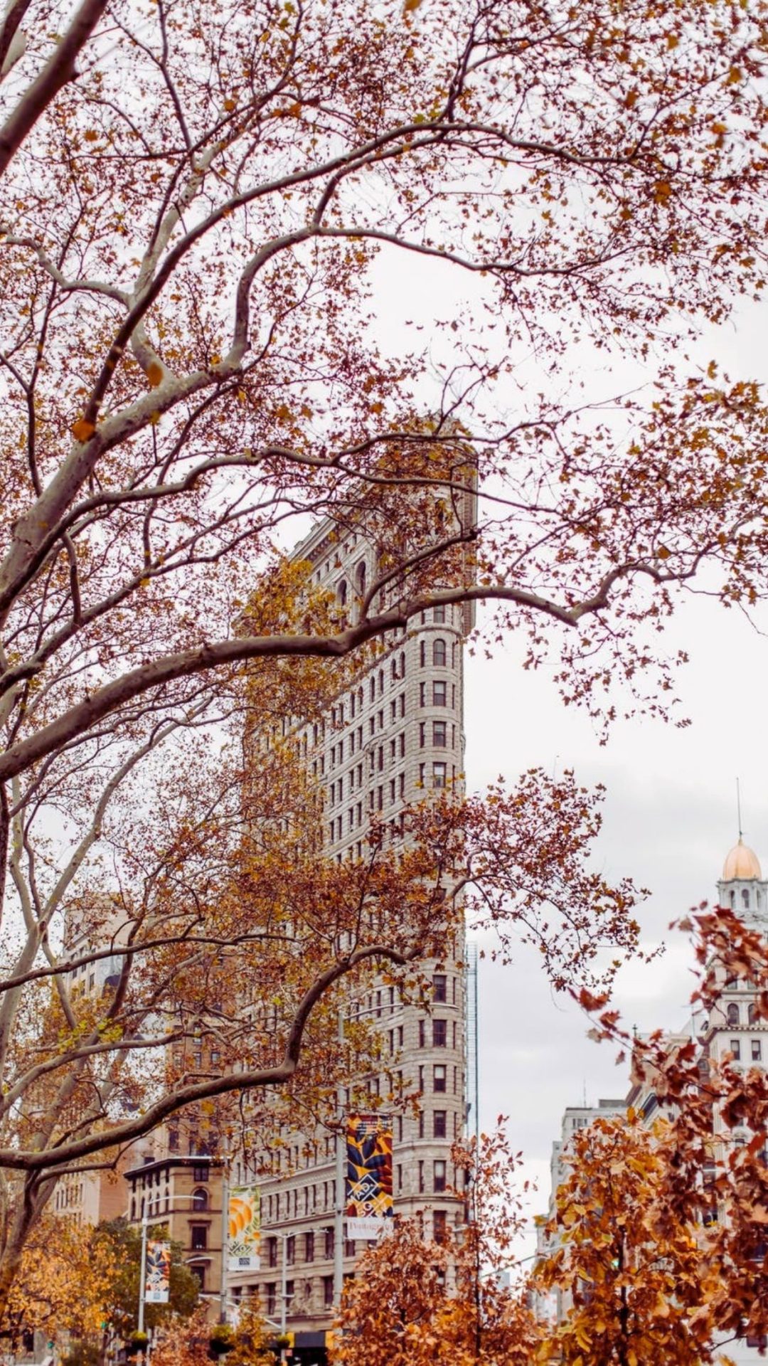 Fall in New York City wallpaper for iPhone