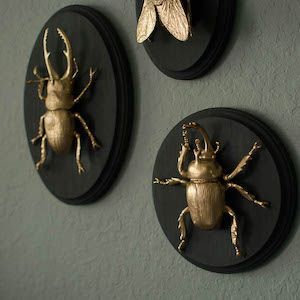 Unique crafts to make and sell: Gilded Insect Faux Taxidermy