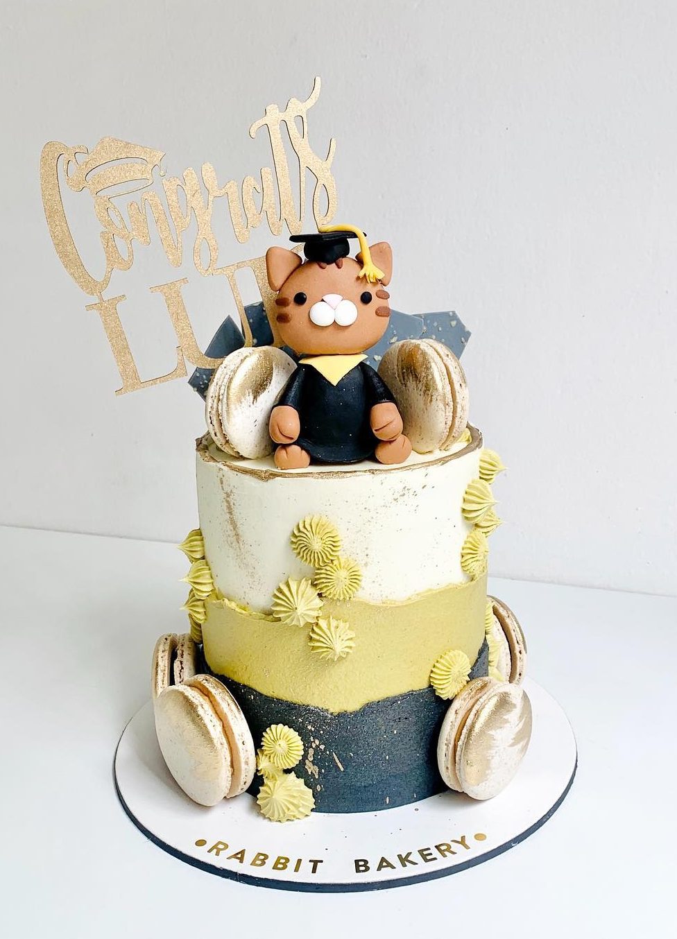 Cute graduation cake with cat