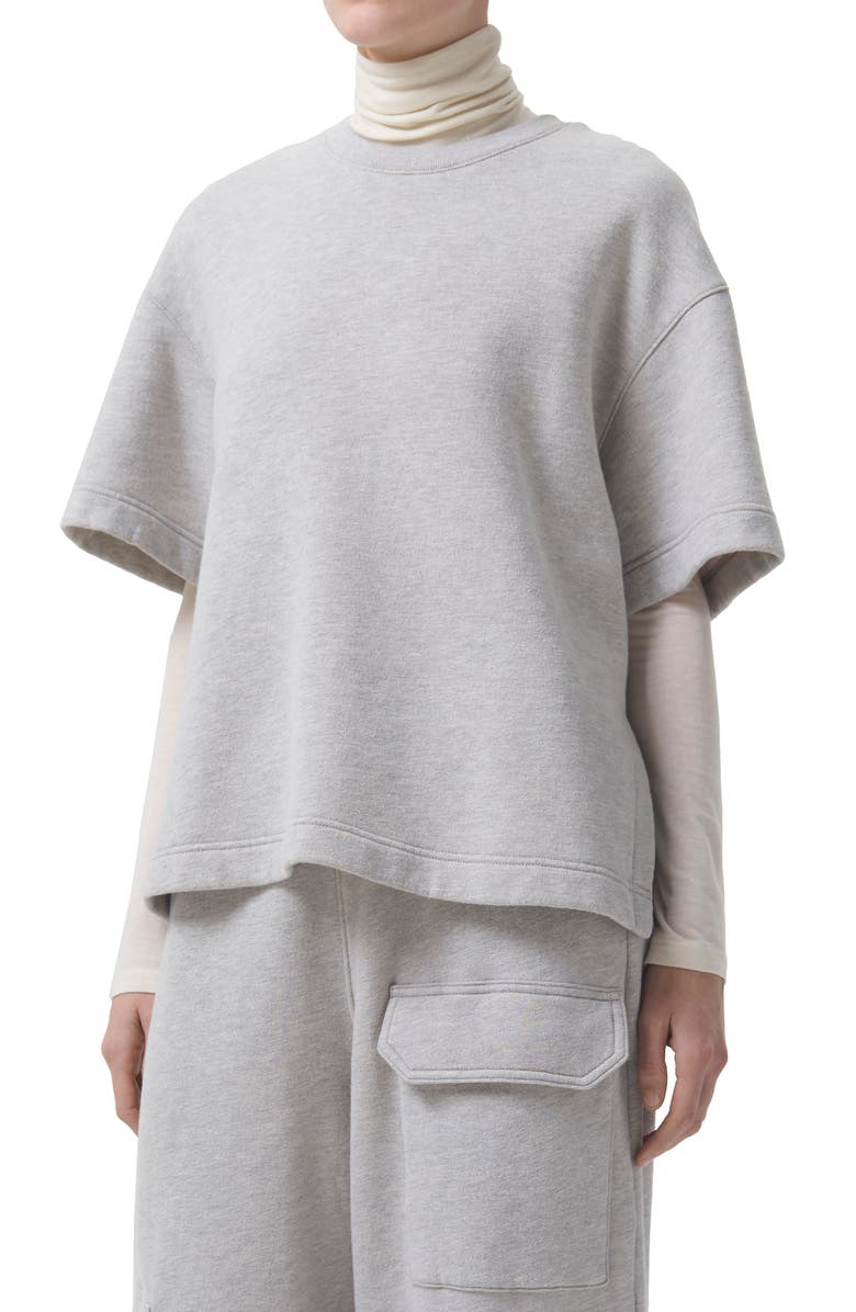 Grey Agolde Ash Short Sleeve Sweatshirt 