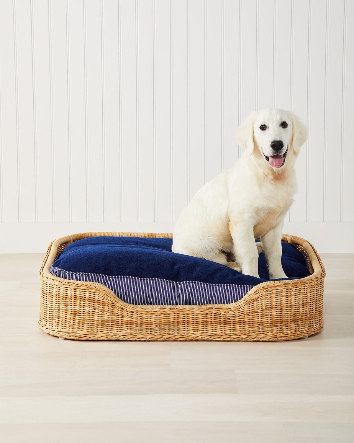 Blue Serena & Lily Dog Bed