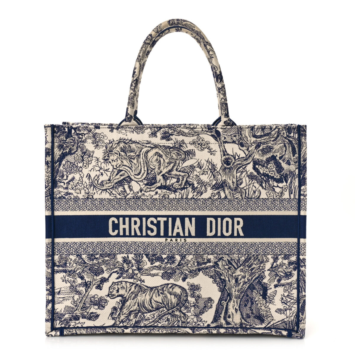 10 Best Dior Bags That Are Perfect For Any Style | Chic Pursuit: The ...